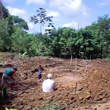 RDS Fish Pond 016.jpg RDS Fish Pond 016.jpg