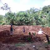 RDS Fish Pond 017.jpg RDS Fish Pond 017.jpg