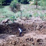 RDS Fish Pond 020.jpg RDS Fish Pond 020.jpg