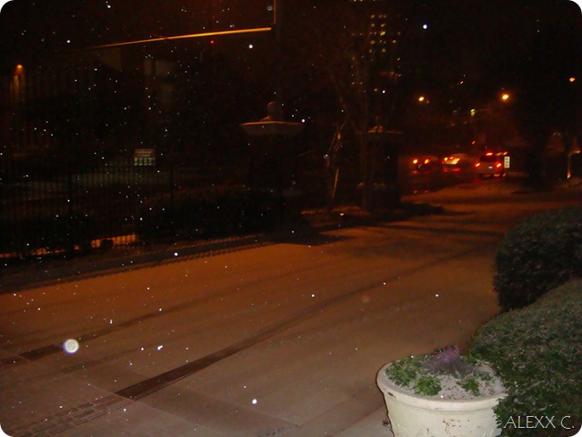 DSC08953