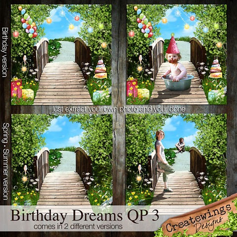 [CreatewingsDesigns_BD_QP3ab_Preview[3].jpg]