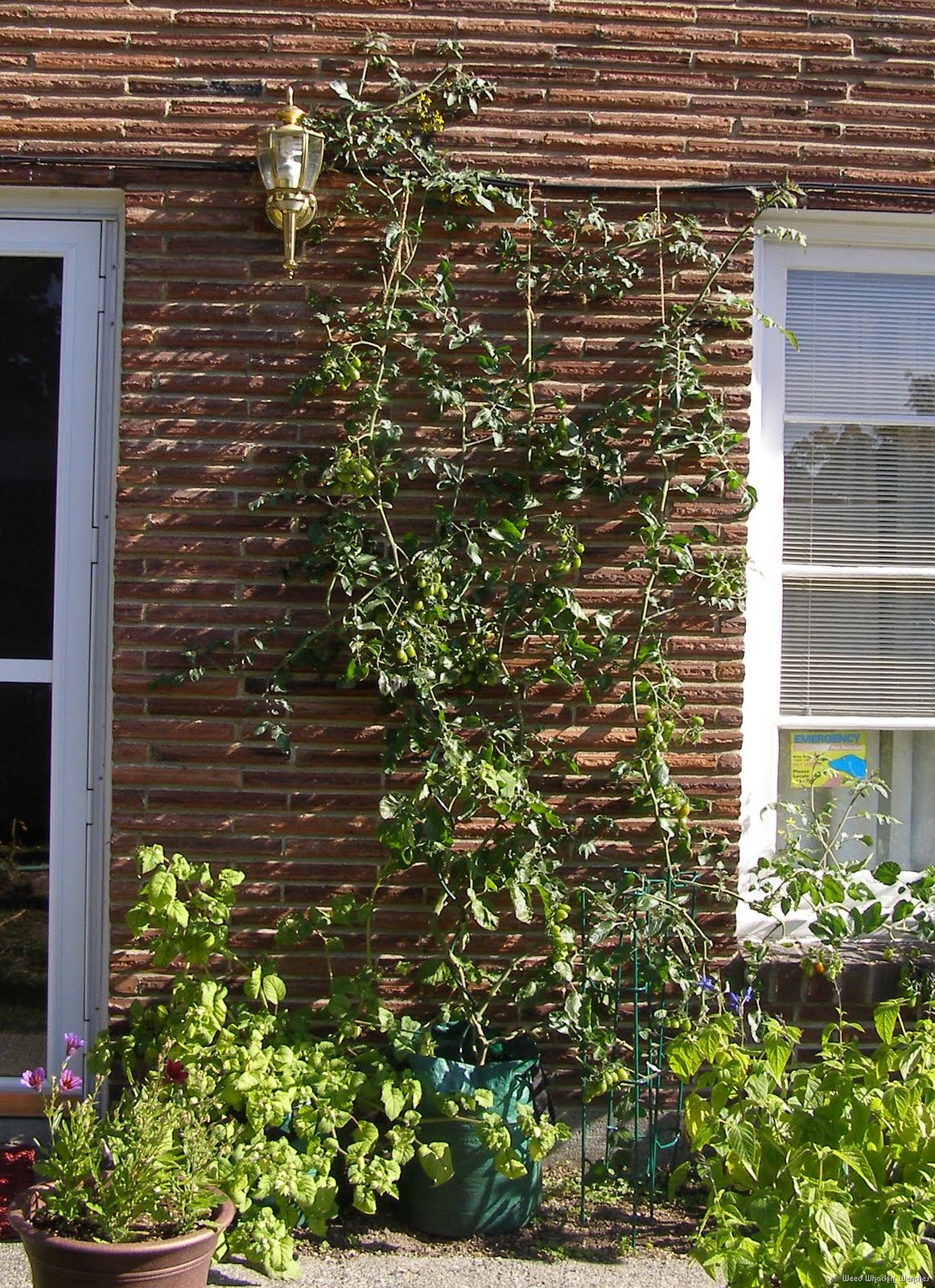 [P1010243rev7.jpg]