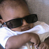 &ndash; Roo looking cool (picture taken by James Mansaray)