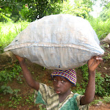  &ndash; Sierra Leone: Young child carrying sack full of potatoes. ...© 2007NHA photographs/JBM
