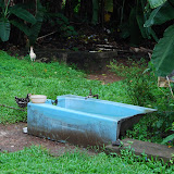  &ndash; ...© 2008 September Nazareth House Apostolate Media, Vicki Hicks: photographer