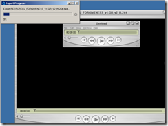 07-2009 Video Conversion Automation 12