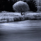 November 2008