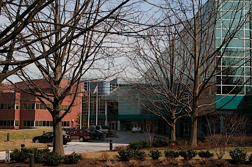 Glaxo Smith Kline. Patricia