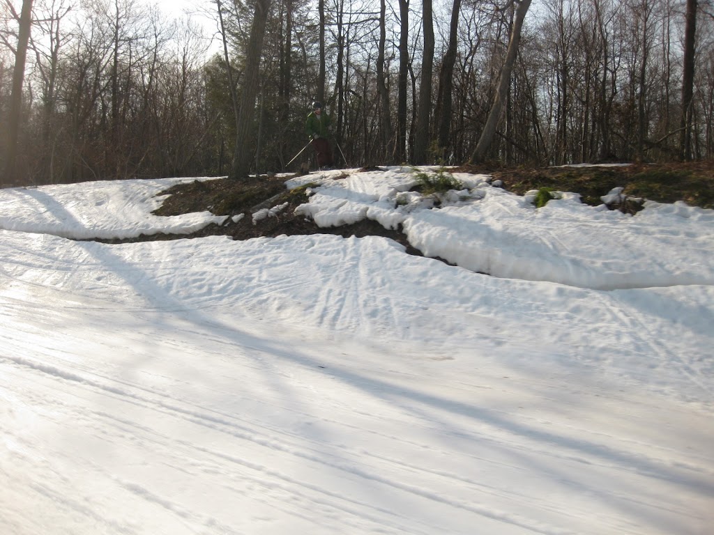 IMG_0020.JPG