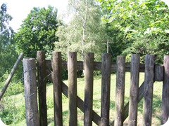 100_0812 100_0812