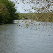 IMG_6382.jpg