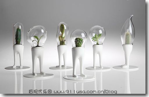 拟人化的仙人掌