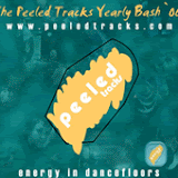 peeled_tracks_yearly_bash_06.gif