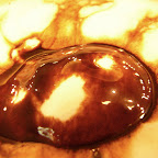 cafemocha