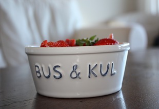 Bellas bursdag og biltur 002