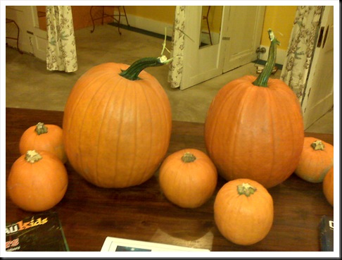 PumpkinsStore