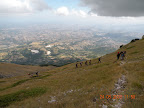 DSCN2462_1737.JPG