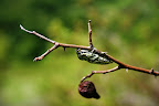 Escursioni0003.JPG