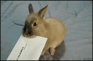 a84227c9e2489daa650a728eecca31f4.gif (325×213)