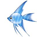 balkob5 balkob5