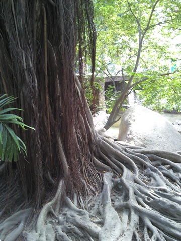 [Photo1866_001_0012.jpg]