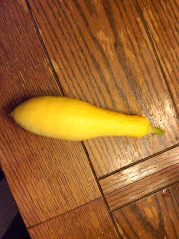 [squash[4].jpg]