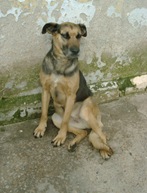 CHULA1 (3)