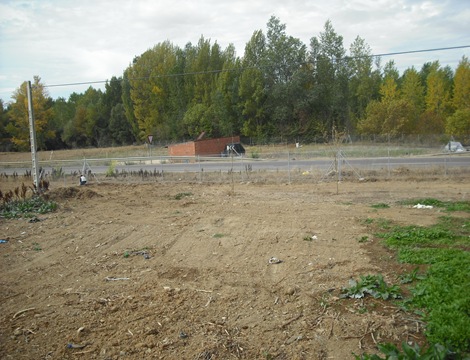 DSCF0347