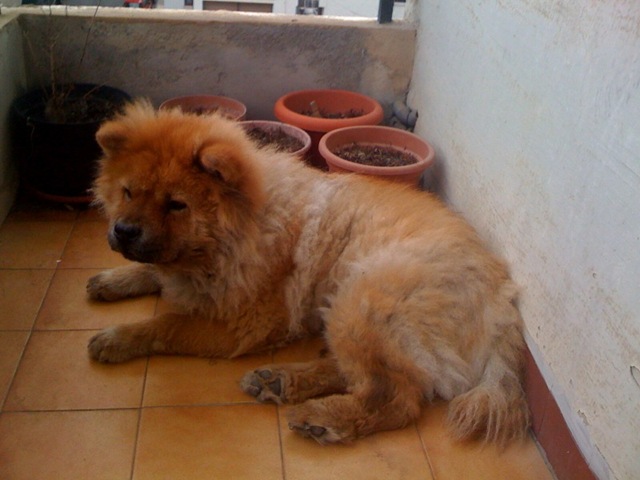 [foto leon moy[6].jpg]