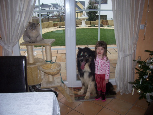 [Weihnachten 2 & Rex Ankunft 044[5].jpg]
