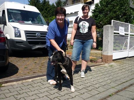 greta_18_07_10