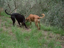 DSCN5275a