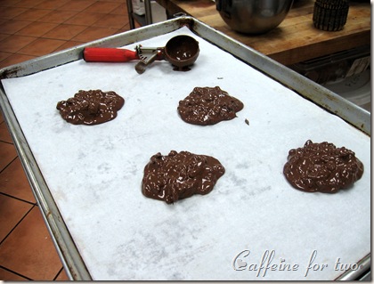 flourless chocolate cookie (2)