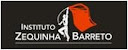 Instituto Zequinha Barreto