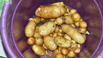 potatoes
