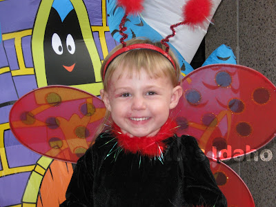 ladybug