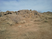 2011-02-05 10.06.10.jpg