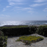 Foto del Son Ganxo- Appartamento 4