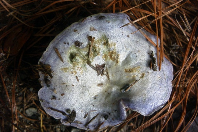 [R00141642.jpg]