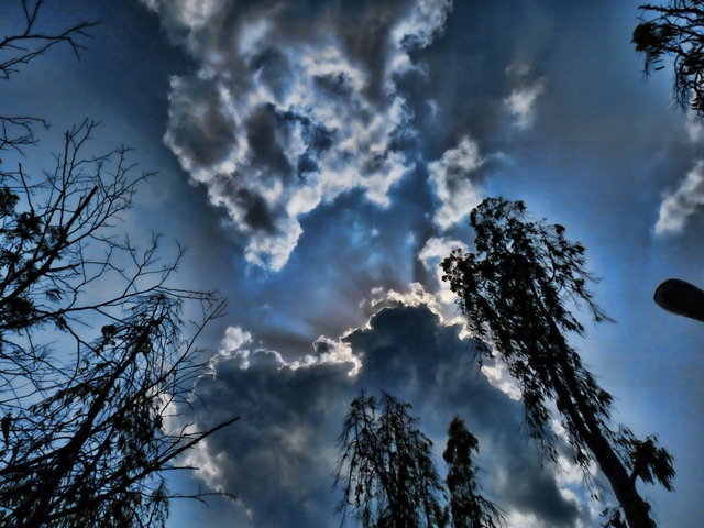 [P1030818 copy[6].jpg]