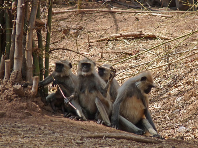 [P1030730 copy[6].jpg]