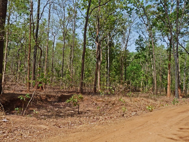 [P1030745 copy[4].jpg]