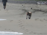IMG_1133.JPG
