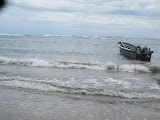 IMG_1174.JPG
