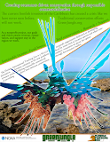 lionfish_sm.png