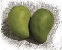 mango serotonin mango serotonin
