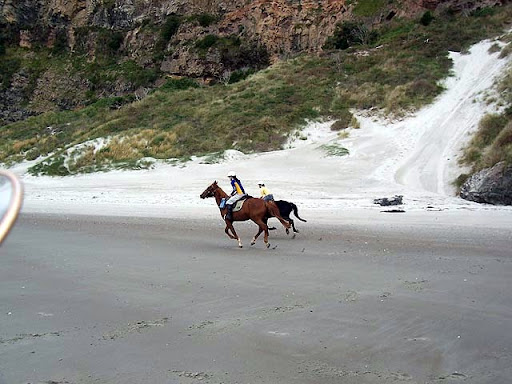 Ginger and Elsa at the beach