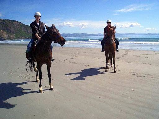 Trolls and Ginger cooling down after a beach ride