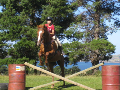 This cross bar was too low for Barney