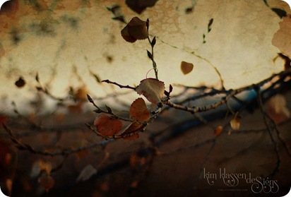 just-a-leaf